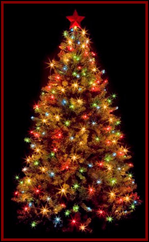 12011203_the_orgins_of_christmas_tree_lights001001.jpg